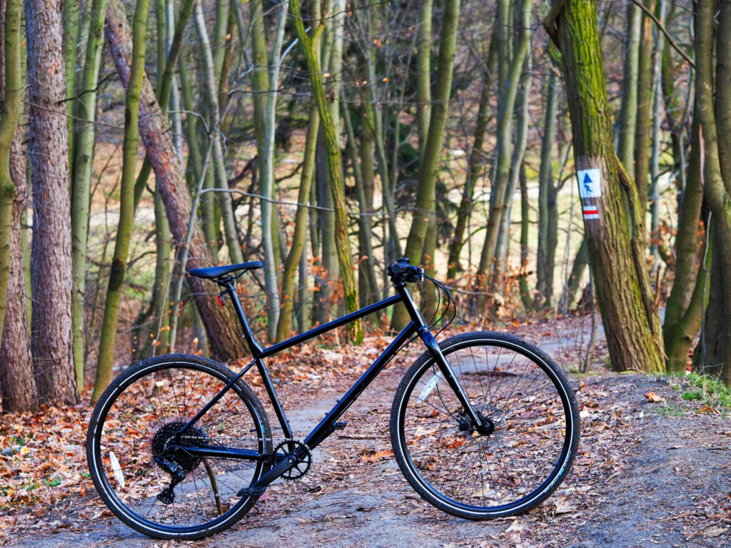 Tani rower na miasto i do lasu, czyli Marin Muirwoods 33