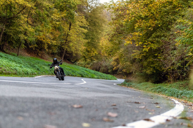 Benelli Leoncino 500 Trail lp 12