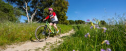 MARIN Kentfield 1